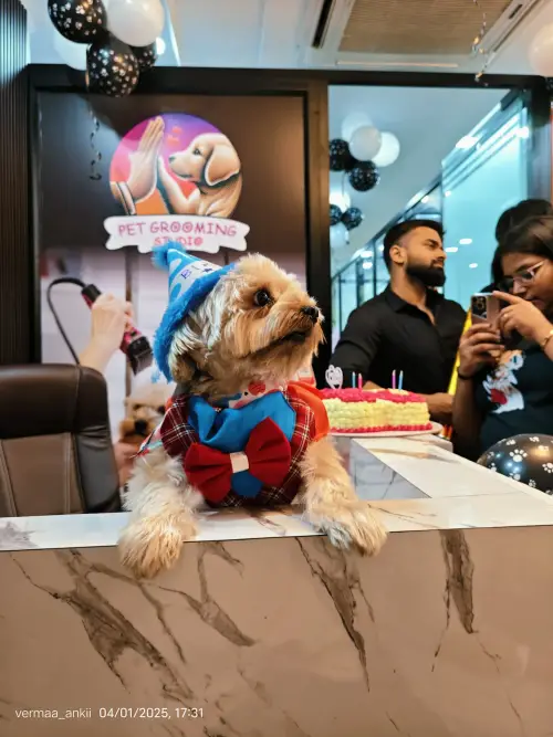 PAMPER YOUR PET